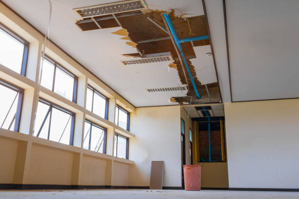 Best Mold removal after water damage  in Coleytown, CT