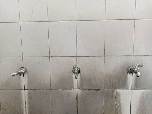 Best Water damage restoration near me  in Coleytown, CT