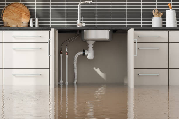 Best Water damage restoration process  in Coleytown, CT